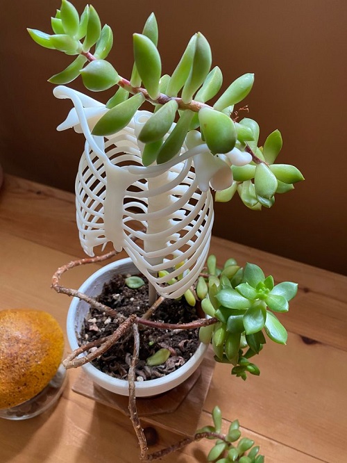 Cute Halloween succulent Planters 2