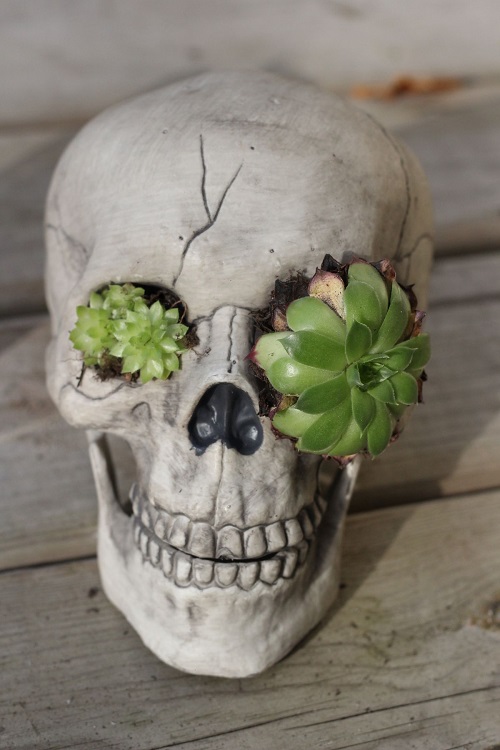 Halloween Planters 1