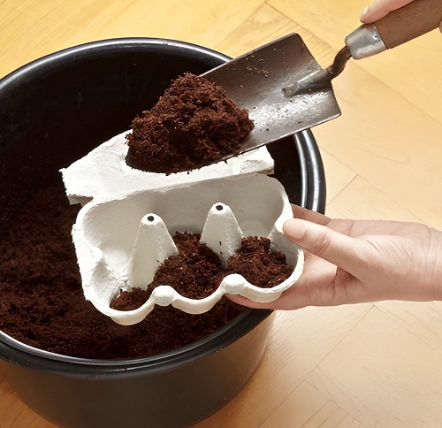 fill the tray with soil mix