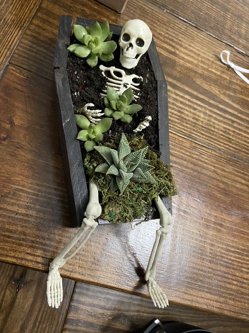 Halloween succulent Planters 2