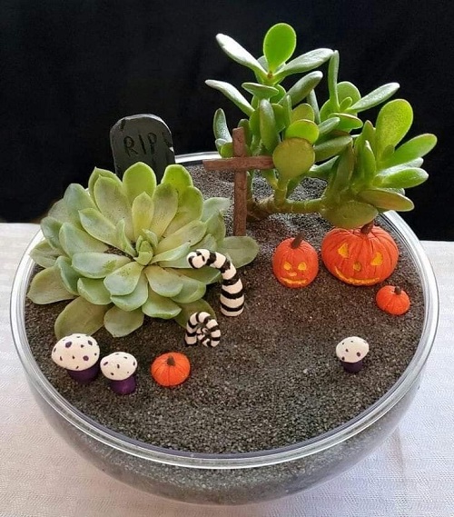 Halloween succulent Planters 3