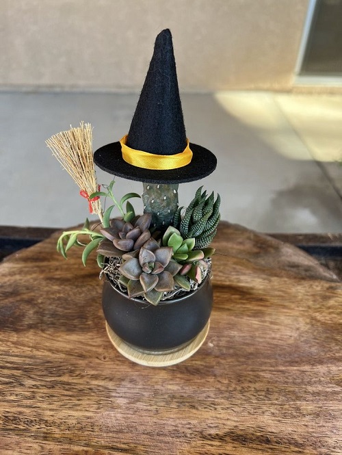 Halloween succulent Planters 4