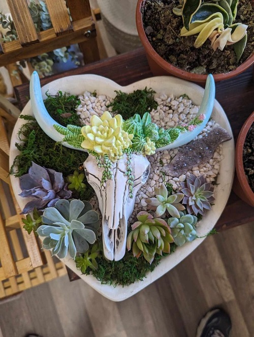 Spooky succulent Planters 3