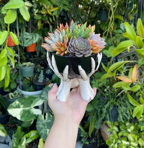 Spooky succulent Planters 4