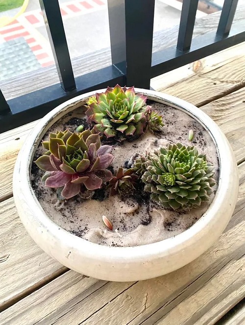 Create a Chilly Environment in Homes
