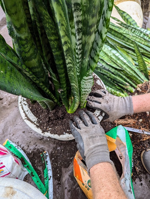 soil mix