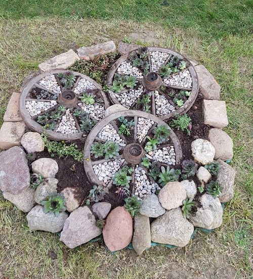Spiral Succulent Arrangements 12