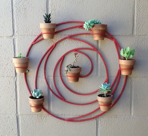Spiral Succulent Arrangements 14