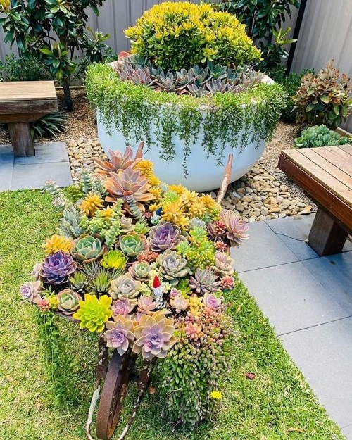 Spiral Succulent Arrangements 3