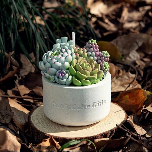 Succulent Candle Ideas 5