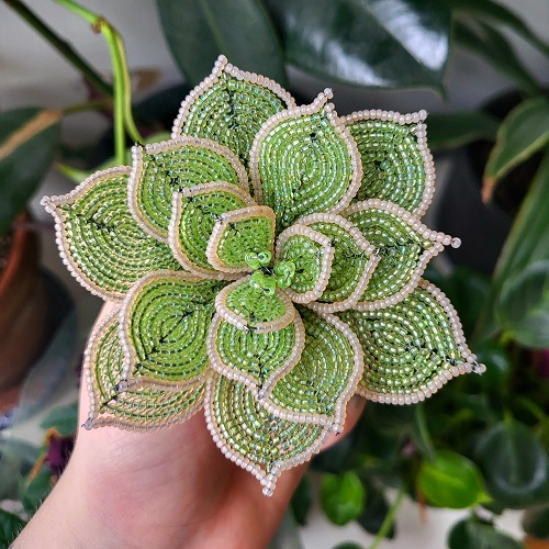 viral Beaded Succulents 