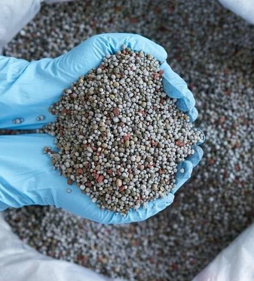 zz plant fertilizer
