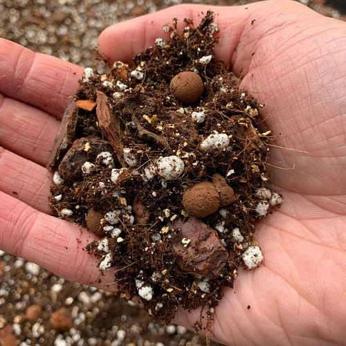 Potting Mix For Succulents