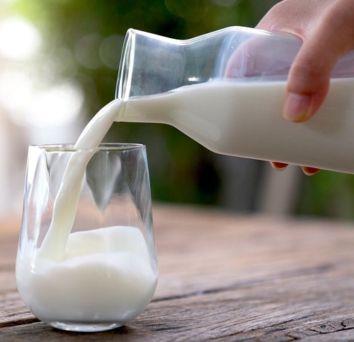 Milk Make Your Jade Plant Grow Faster