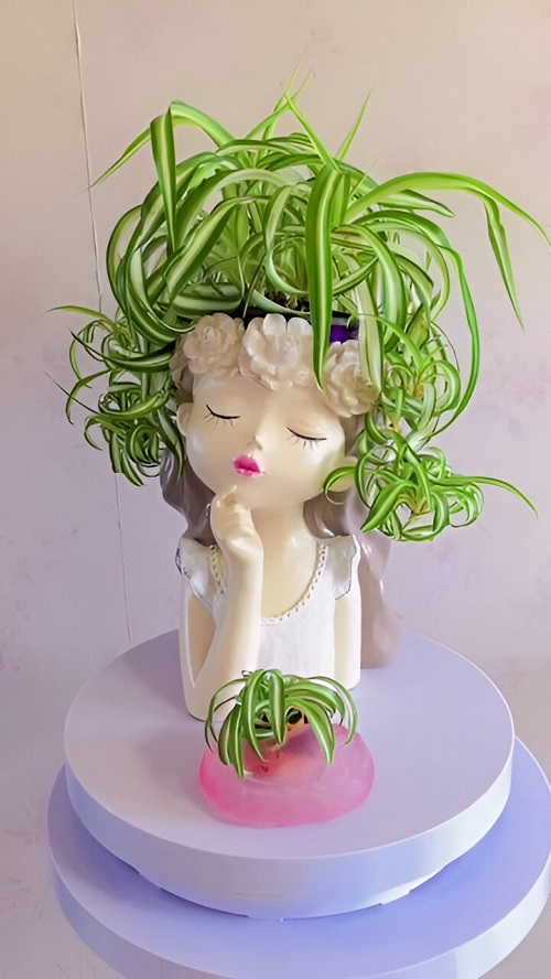 princess planter for spider plant