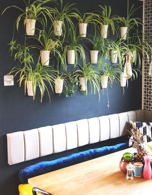 wall decor with spider plant