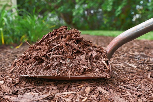 Mulch Strategically