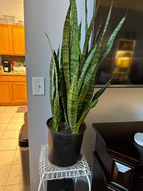 Slightly Tilt the Pot