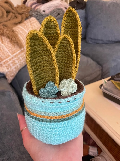  free Crochet Snake plant 2