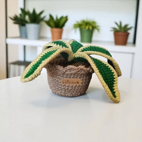  free Crochet Snake plant 5