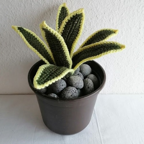 Snake plant crochet patterns 4