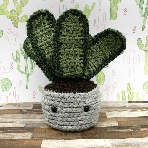 Easy Crochet Snake plant