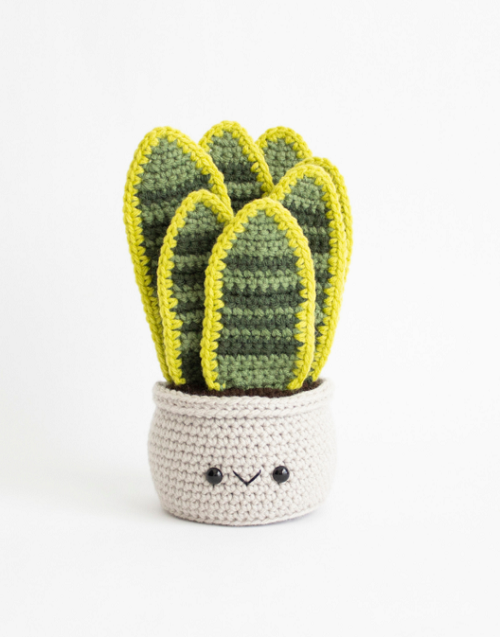 Easy Crochet Snake plant 2