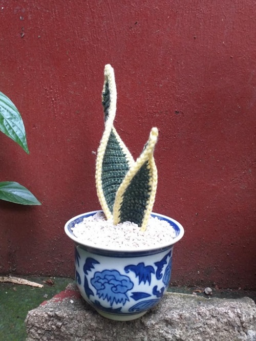 Easy Crochet Snake plant 4