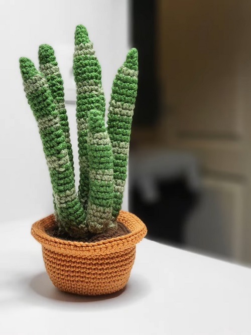  free Crochet Snake plant