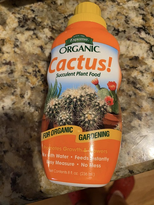 Bunny Ear cactus fertilizer