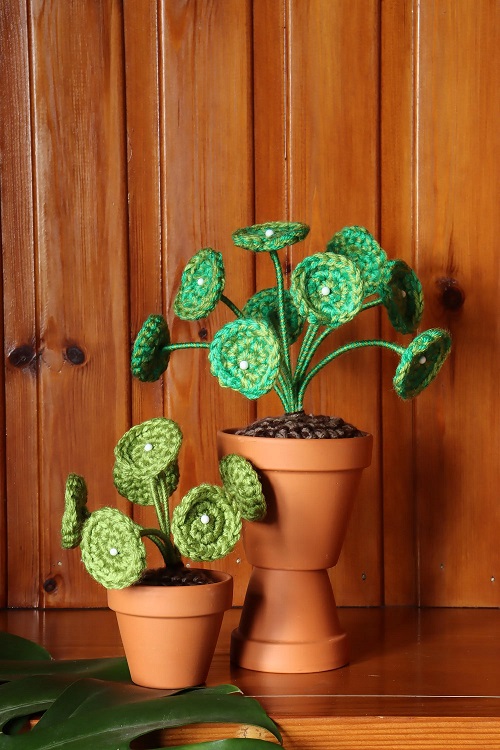 beautiful crochet plant ideas 2
