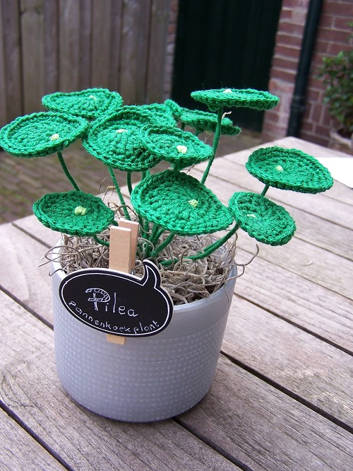 beautiful crochet plant ideas 3