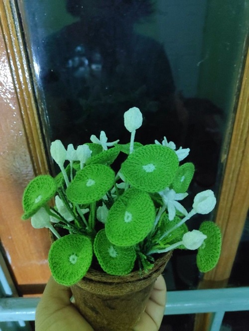 beautiful crochet plant ideas 4