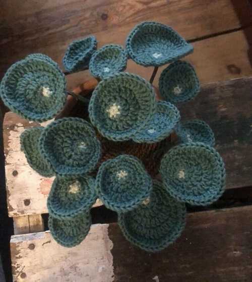 mini crochet plant