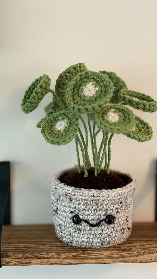 crochet Chinese Money Plant 2