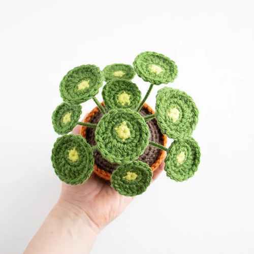 crochet Chinese Money Plant 3