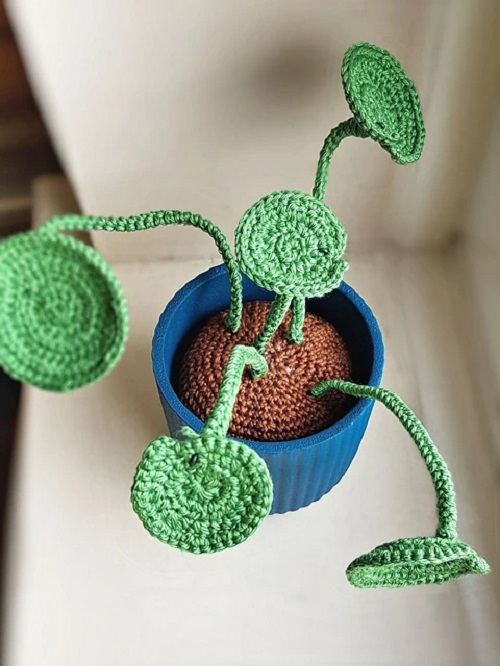 crochet Chinese Money Plant 4