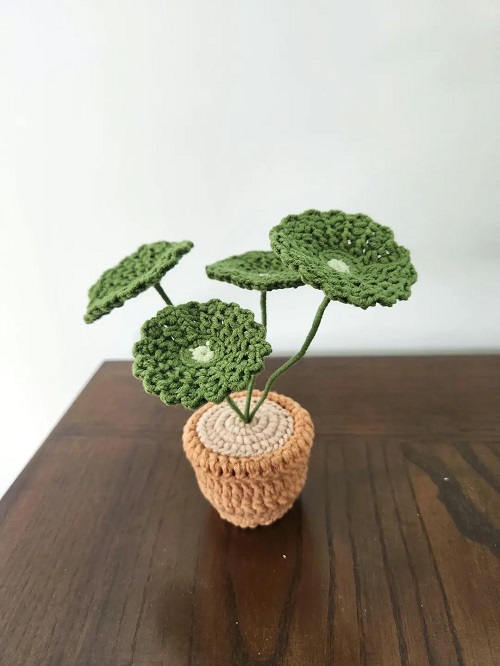crochet Money Plant