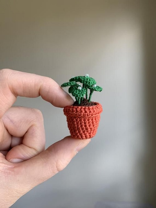 crochet Money Plant 2