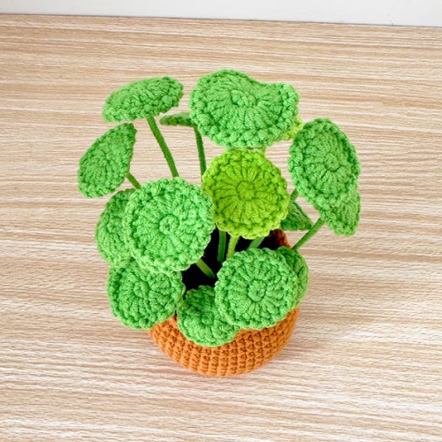 crochet Money Plant 3