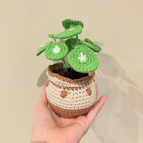 beautiful crochet plant ideas