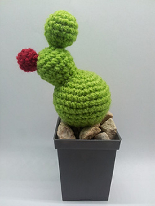 Crochet tall Cactus ideas