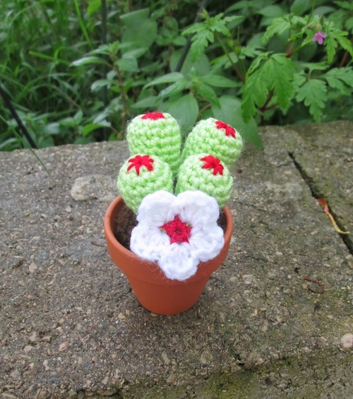 Crochet tall Cactus ideas 2