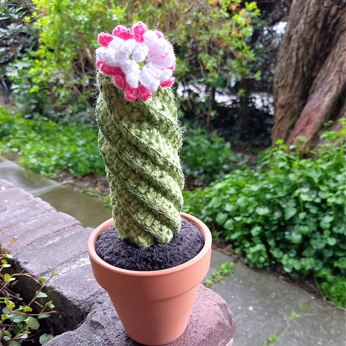 Crochet tall Cactus ideas 3