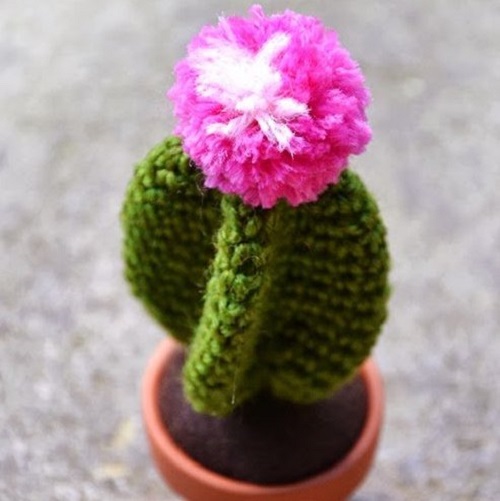 Crochet tall Cactus ideas 5