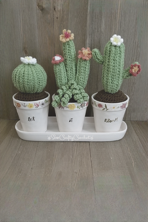 Crochet small cactus pattern 2
