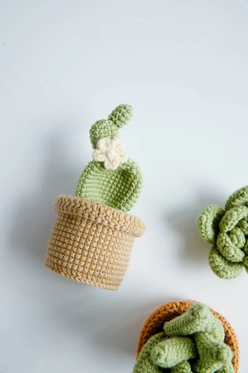 Crochet small cactus pattern 3