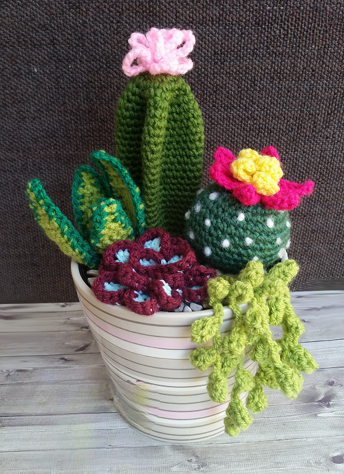 Crochet small cactus pattern 6