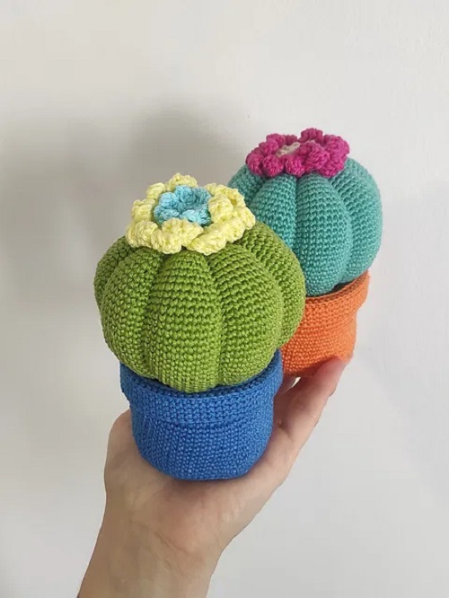 Crochet flower Cactus