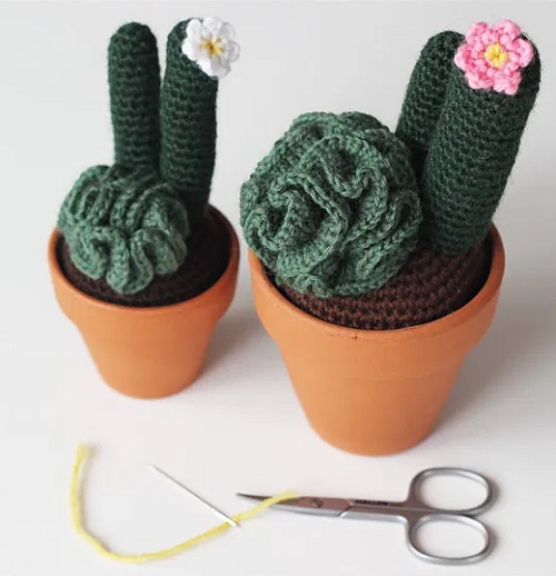 Crochet flower Cactus 2